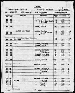 Bureau of Indian Affairs, Census of Colville Indians June 30, 1919